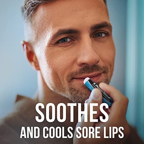 Classic Medicated Lip Balm Tube Chapped Lips Treatment