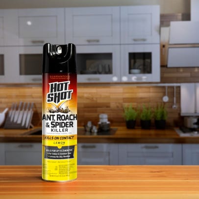 Hot Shot Ant, Roach & Spider Killer - Lemon, 17.5 oz