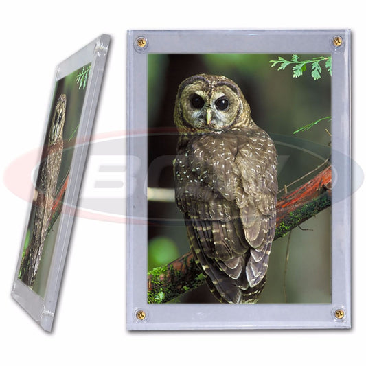 5 X 7 PHOTO SCREWDOWN HOLDER