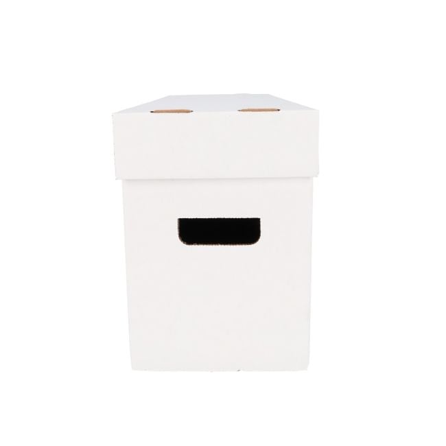 LONG COMIC STORAGE BOX