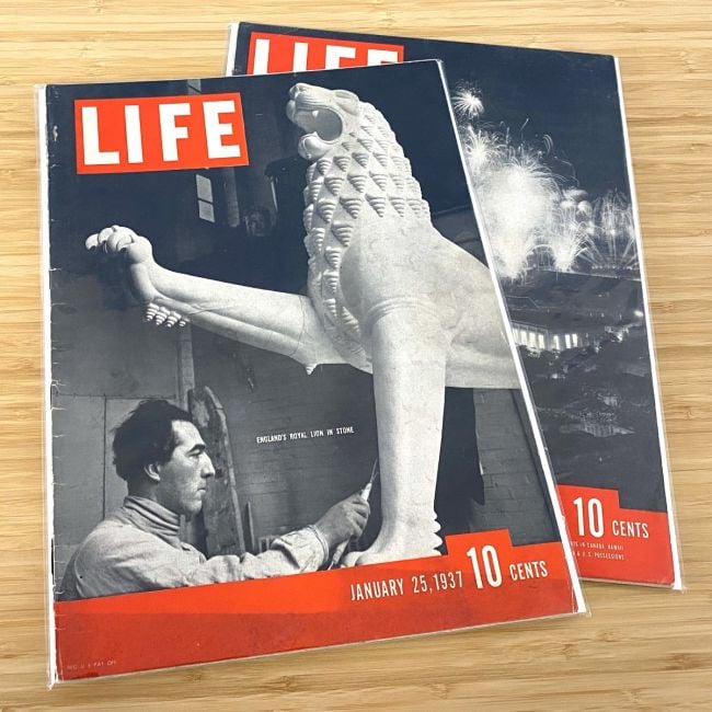 RESEALABLE "LIFE" MAGAZINE BAGS - 11 1/8 X 14 1/4